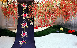 Flower show winning photo