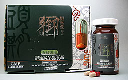 御藥堂西藏頭期野生純冬蟲夏草須回收