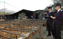 Yuen Long unlicensed food factory closed