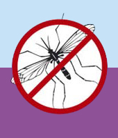 Beware of  Denque Fever