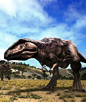 巨型南美龍（Sky High Entertainment Media圖片）