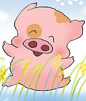 McDull