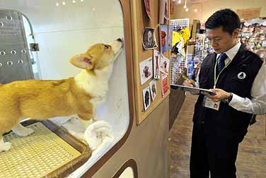 漁農自然護理署職員