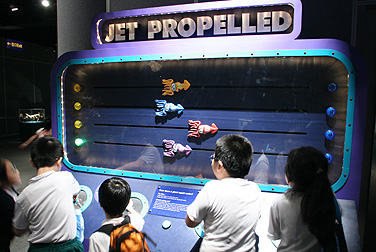 robot zoo exhibition