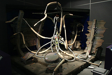 robot zoo exhibition