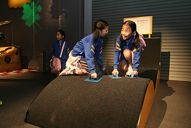 robot zoo exhibition