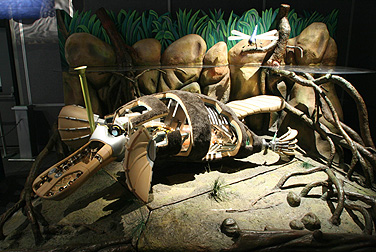 robot zoo exhibition