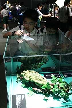 robot zoo exhibition