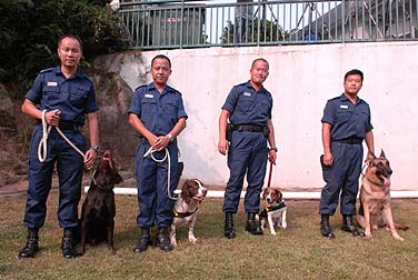 警衞犬隊人員展示犬隊的4類犬種