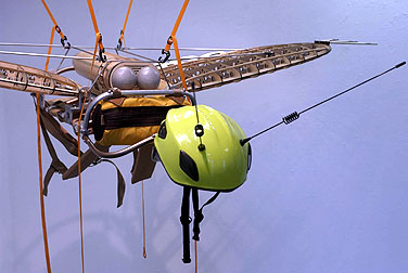 Exhibition display - Migration