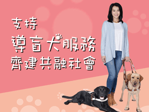 支持导盲犬服务