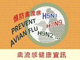 禽流感健康資訊