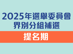 2025年選舉委員會界別分組補選提名期