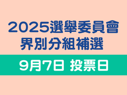 2025選舉委員會界別分組補選