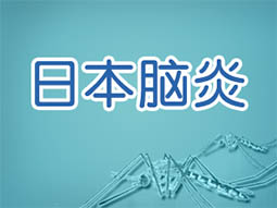 日本脑炎