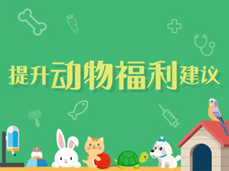 提升动物福利建议