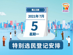 特别选民登记安排