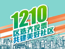 1210区选齐投票