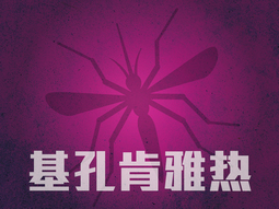 基孔肯雅热