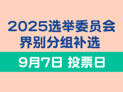 2025选举委员会界别分组补选