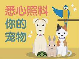 悉心照料你的宠物