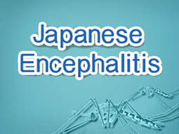 Japanese Encephalitis