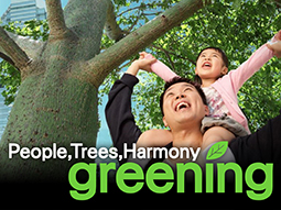 People,Trees,Harmony greening
