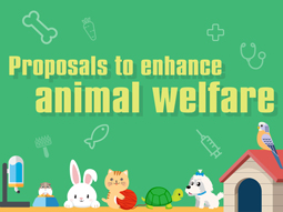 Proposals to Enhance Animal Welfare
