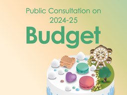 Budget Public Consultation 