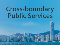 Cross-boundary Public Services