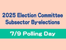 2025 Election Committee Subsector By-election