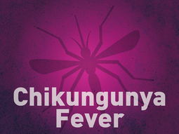 Chikungunya Fever