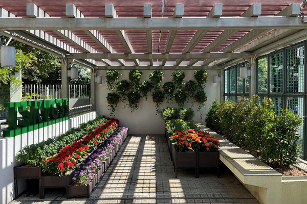 Green thumbs